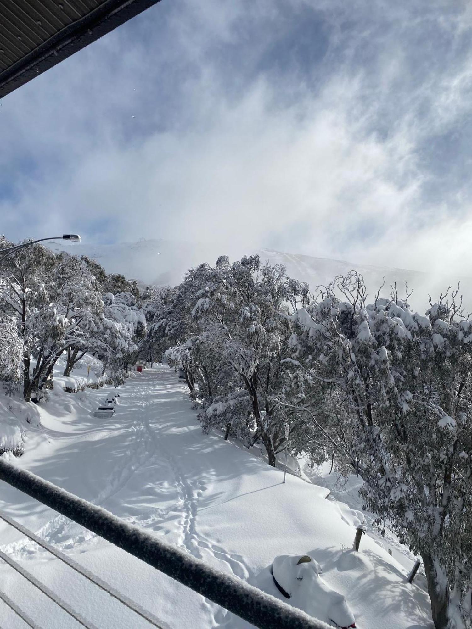 Alpine Woodsmoke Apartments ฟอลส์ครีก ภายนอก รูปภาพ